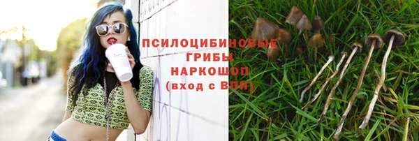 героин Абаза
