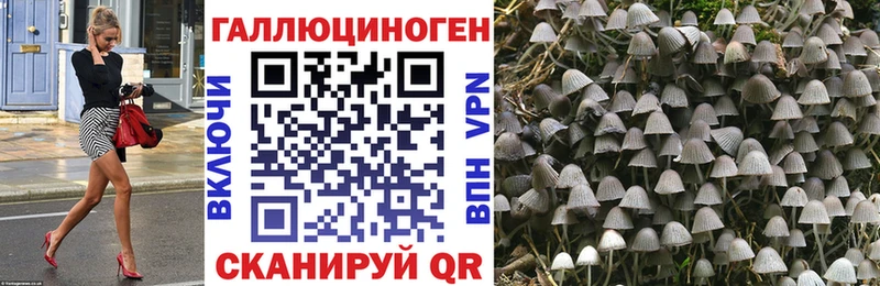 Псилоцибиновые грибы Psilocybe  наркошоп  Касли 